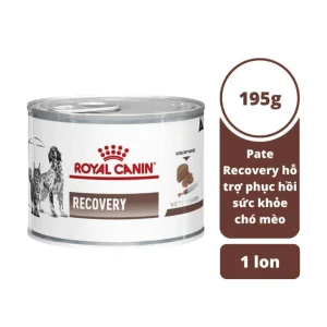 Pate Cho Chó Mèo Royal Canin Recovery Lon 195g